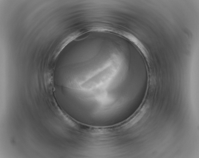 X0000113301385200910131038