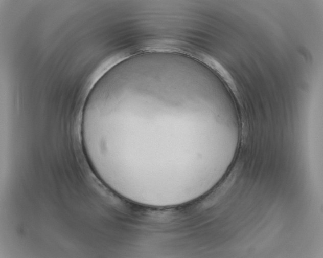 X0000113301386200910131038