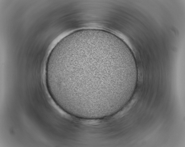 X0000113301387200910131038