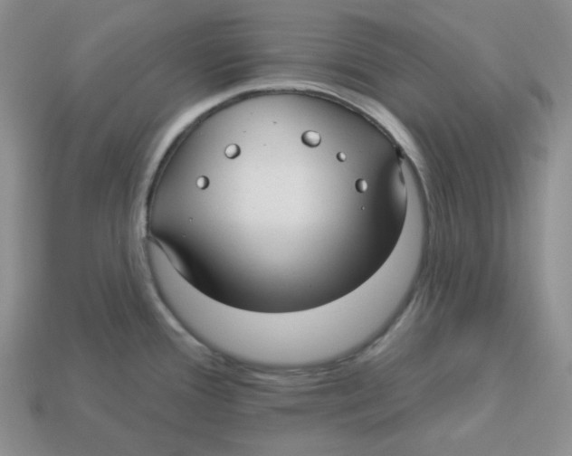 X0000113301388200910131038