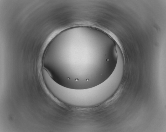 X0000113301389200910131038