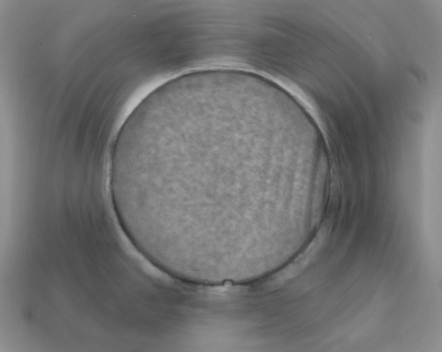 X0000113301390200910131038
