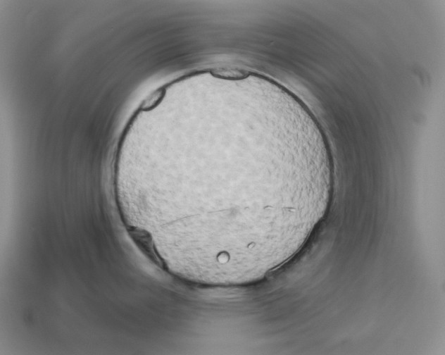 X0000113301392200910131038