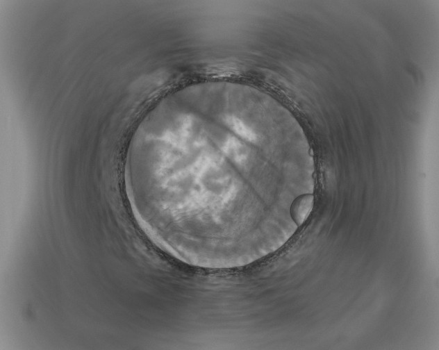 X0000113301393200910131037