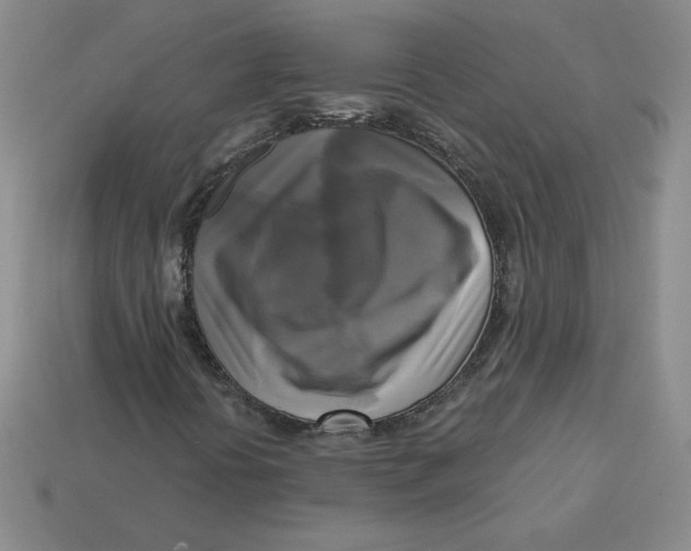 X0000113301394200910131037