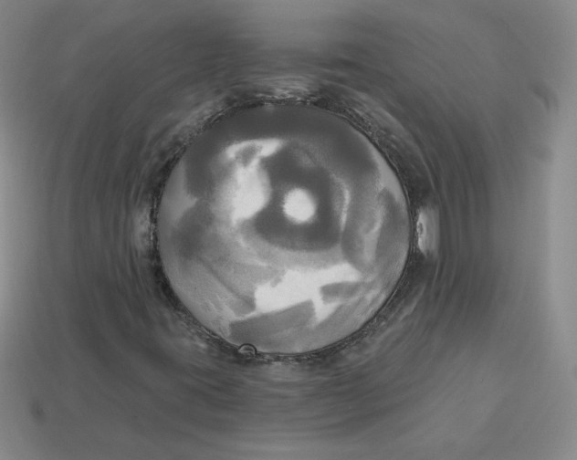 X0000113301395200910131037