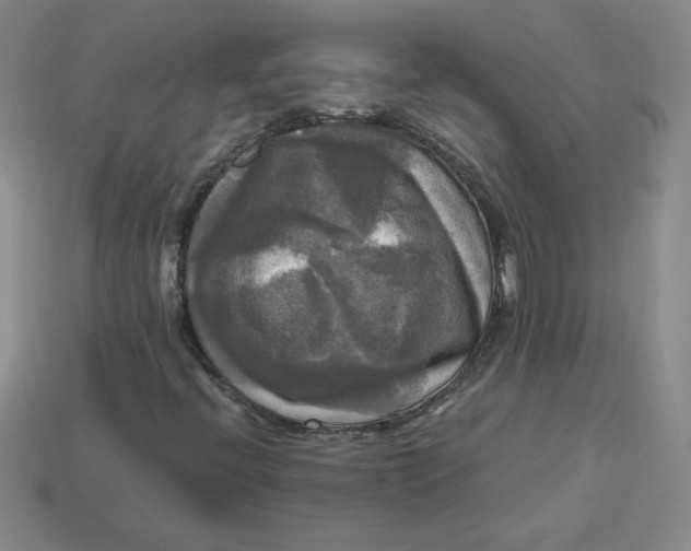 X0000113301396200910131037