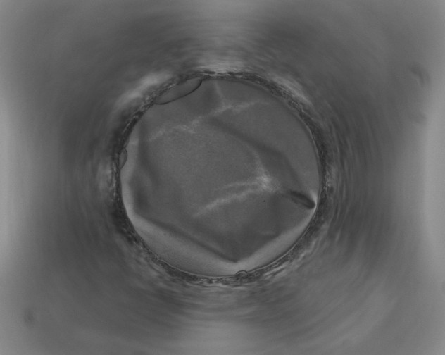 X0000113301398200910131037