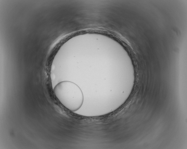X0000113301400200910131037