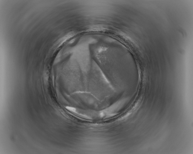 X0000113301401200910131037