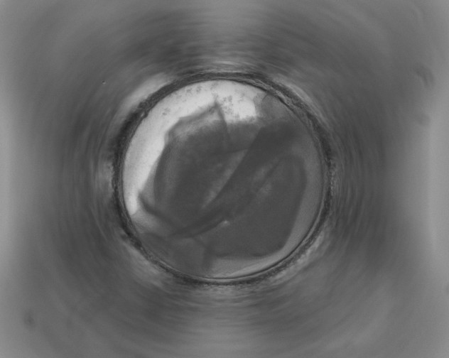 X0000113301402200910131037