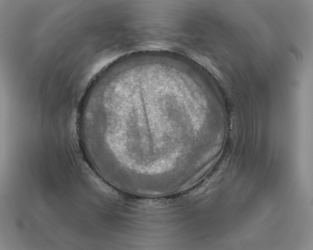 X0000113301404200910131037