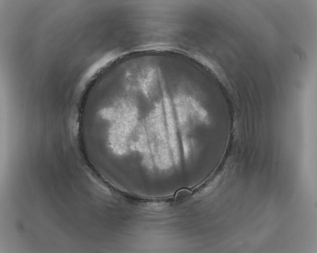 X0000113301406200910131037