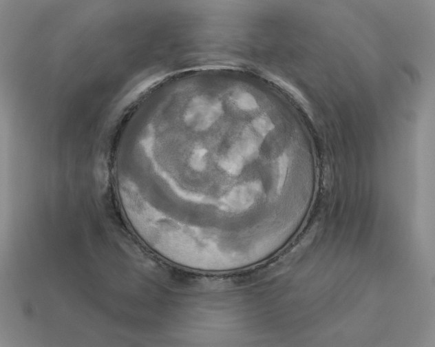 X0000113301407200910131037