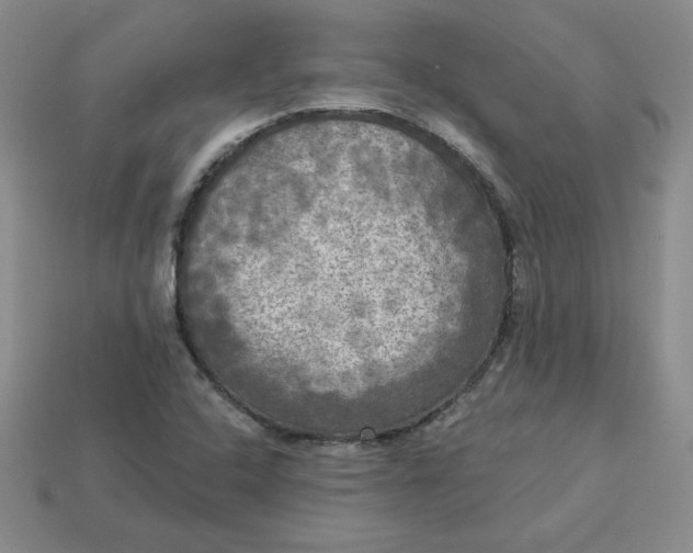 X0000113301408200910131037