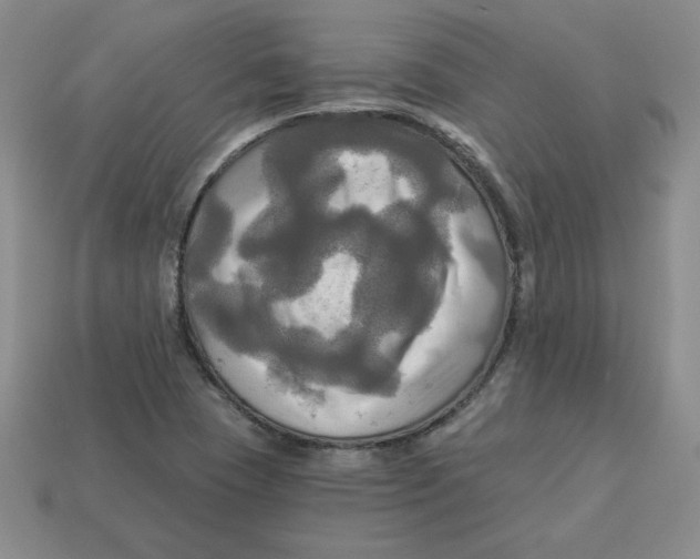 X0000113301409200910131038