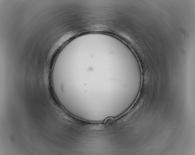 X0000113301410200910131038