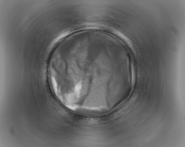 X0000113301411200910131038