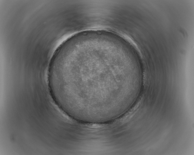 X0000113301412200910131038