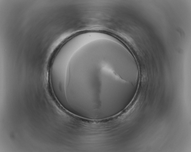 X0000113301414200910131038