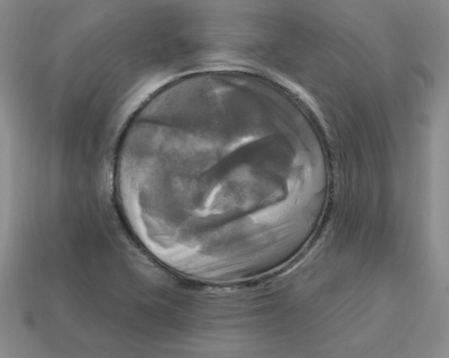 X0000113301415200910131038