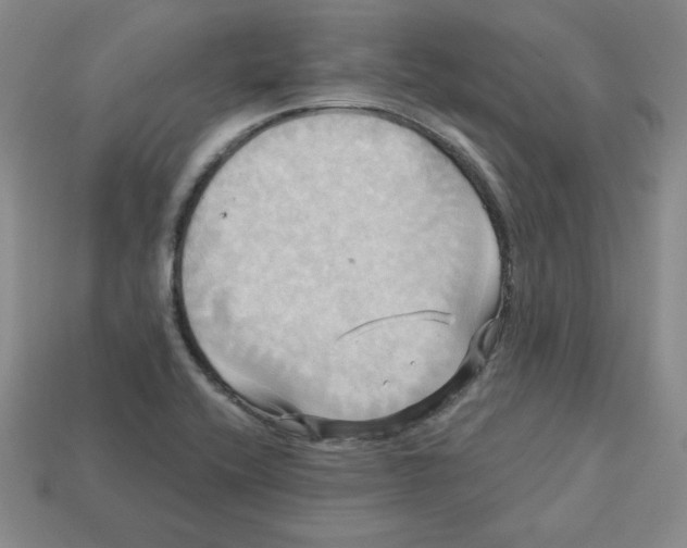 X0000113301416200910131038