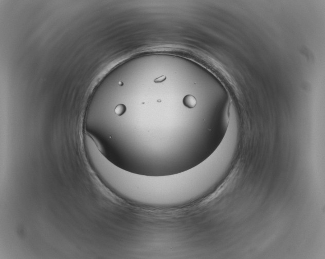X0000113301417200910131038
