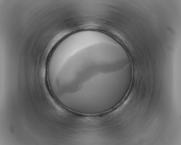 X0000113301418200910131038