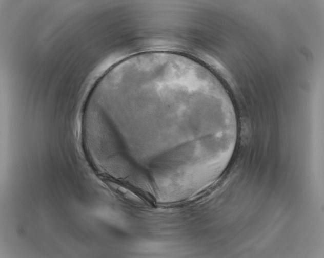 X0000113301419200910131038