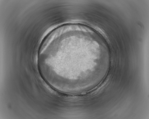 X0000113301420200910131038
