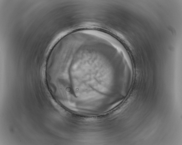 X0000113301421200910131038