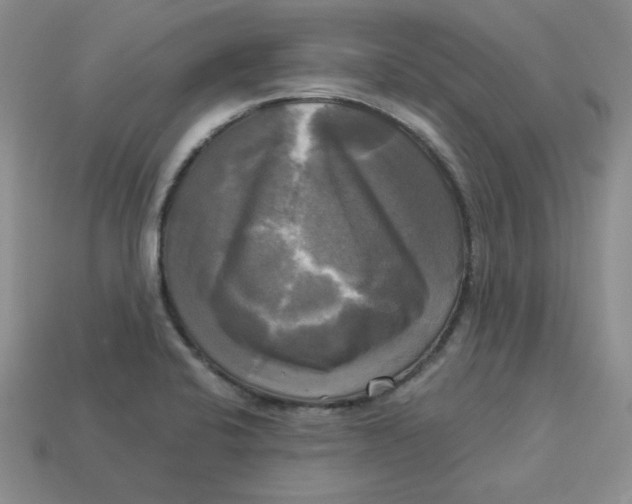 X0000113301424200910131038