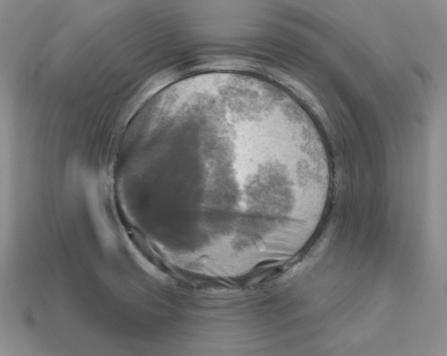 X0000113301425200910131038