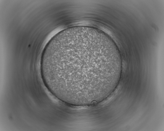 X0000113301426200910131038