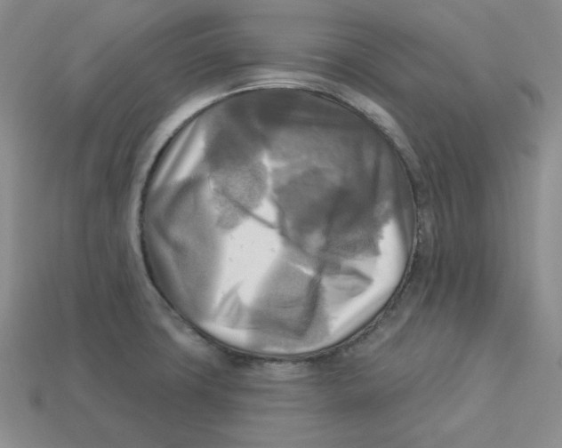 X0000113301427200910131038