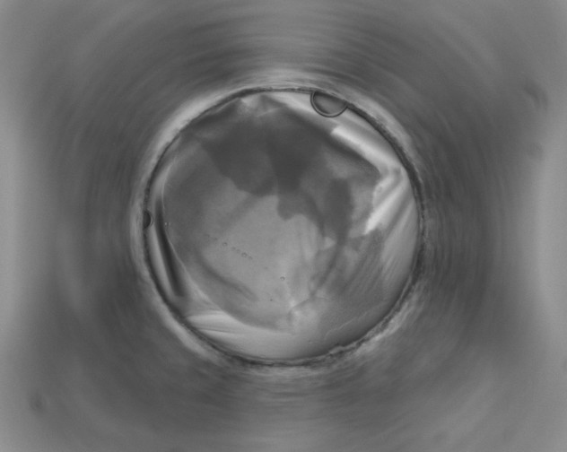 X0000113301429200910131038