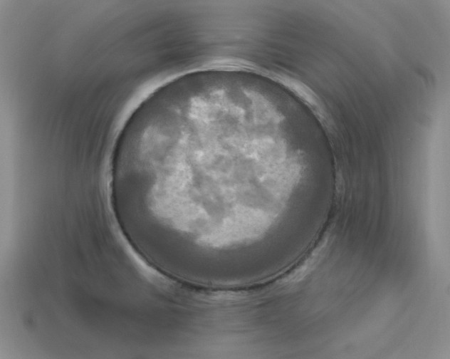 X0000113301430200910131038