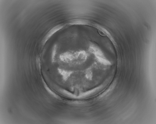 X0000113301433200910131038
