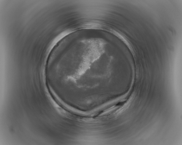 X0000113301434200910131038