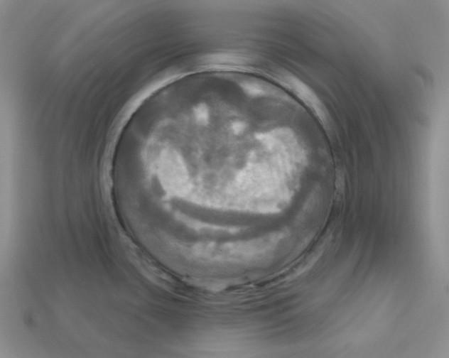X0000113301435200910131038