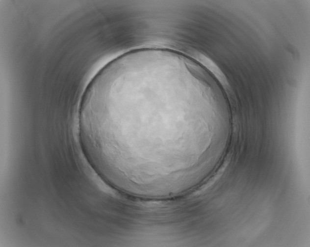X0000113301436200910131038