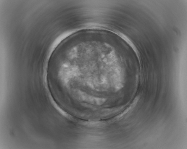X0000113301437200910131038