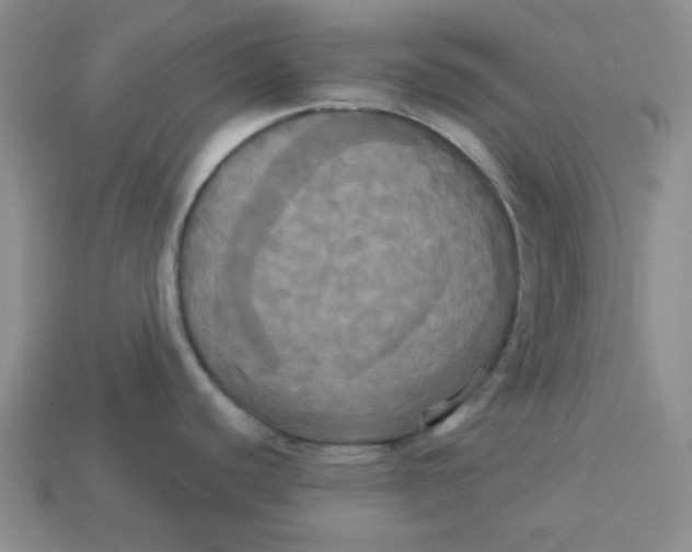 X0000113301440200910131038