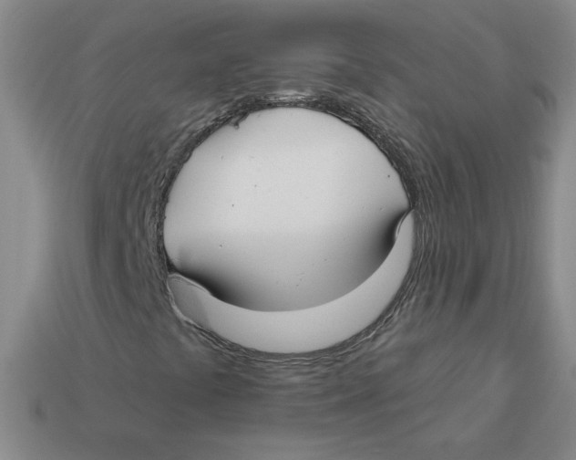 X0000113301441200910131037