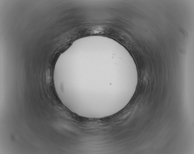 X0000113301442200910131037