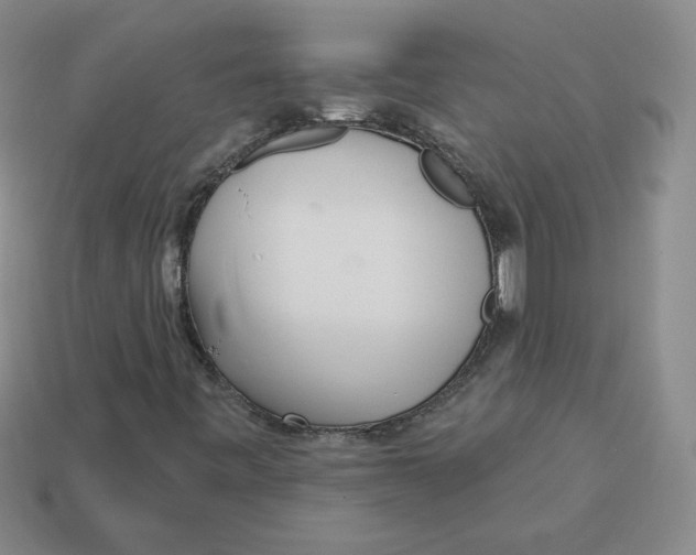 X0000113301443200910131037