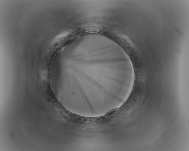 X0000113301445200910131037
