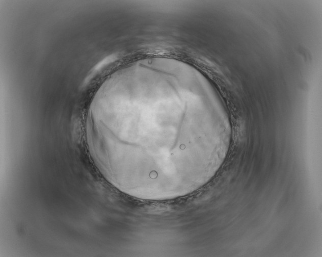 X0000113301446200910131037
