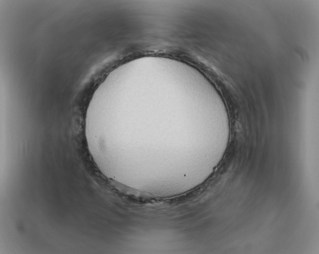 X0000113301447200910131037