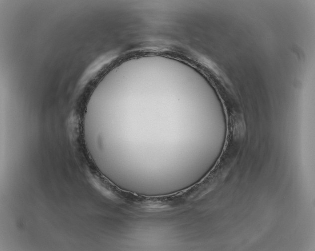 X0000113301448200910131037